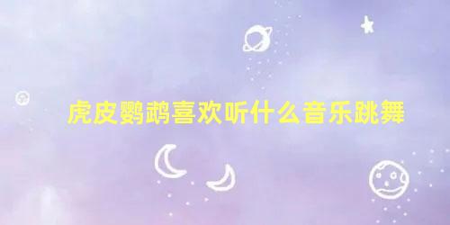 虎皮鹦鹉喜欢听什么音乐跳舞