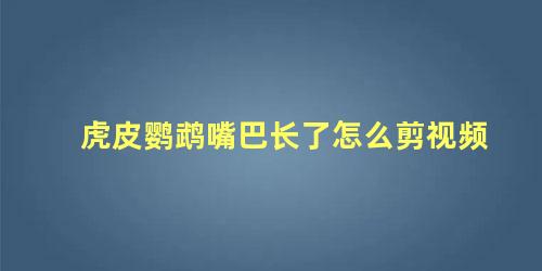 虎皮鹦鹉嘴巴长了怎么剪视频