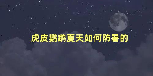 虎皮鹦鹉夏天如何防暑的