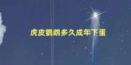 虎皮鹦鹉多久成年下蛋