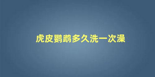 虎皮鹦鹉多久洗一次澡