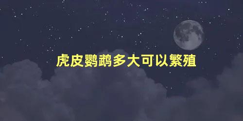 虎皮鹦鹉多大可以繁殖