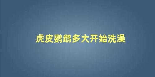虎皮鹦鹉多大开始洗澡