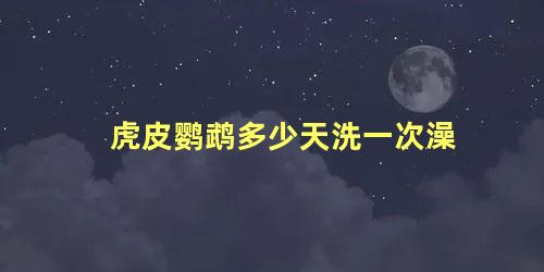 虎皮鹦鹉多少天洗一次澡