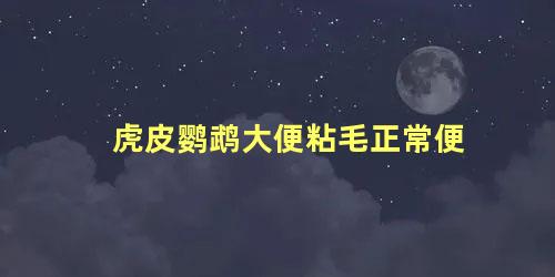 虎皮鹦鹉大便粘毛正常便