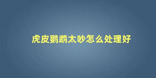 虎皮鹦鹉太吵怎么处理好