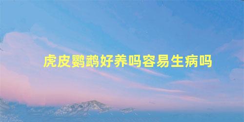 虎皮鹦鹉好养吗容易生病吗