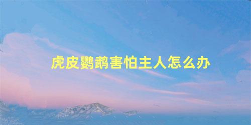 虎皮鹦鹉害怕主人怎么办