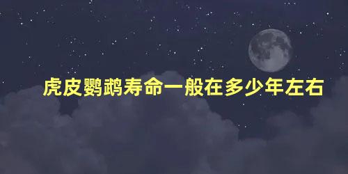 虎皮鹦鹉寿命一般在多少年左右