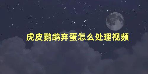 虎皮鹦鹉弃蛋怎么处理视频