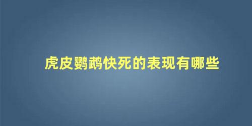 虎皮鹦鹉快死的表现有哪些