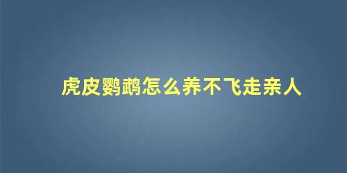 虎皮鹦鹉怎么养不飞走亲人