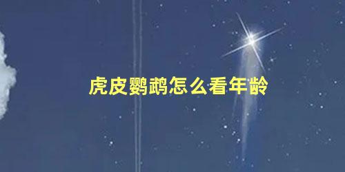 虎皮鹦鹉怎么看年龄