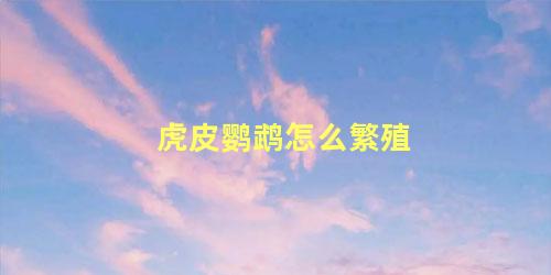 虎皮鹦鹉怎么繁殖