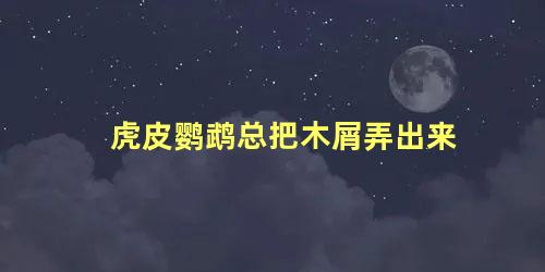 虎皮鹦鹉总把木屑弄出来