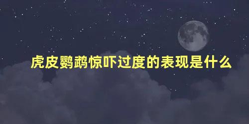 虎皮鹦鹉惊吓过度的表现是什么