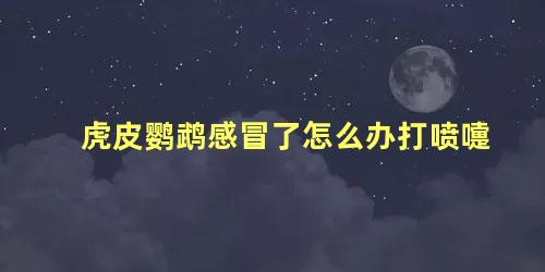 虎皮鹦鹉感冒了怎么办打喷嚏