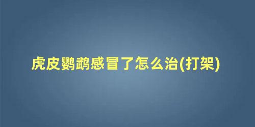 虎皮鹦鹉感冒了怎么治(打架)