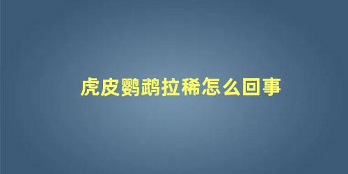 虎皮鹦鹉拉稀怎么回事