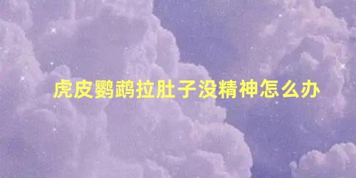 虎皮鹦鹉拉肚子没精神怎么办