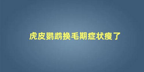 虎皮鹦鹉换毛期症状瘦了