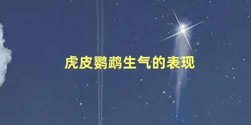 虎皮鹦鹉生气的表现