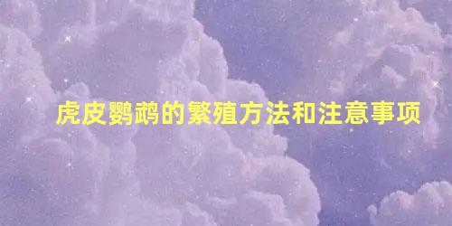 虎皮鹦鹉的繁殖方法和注意事项