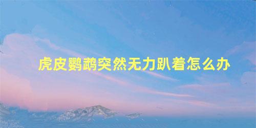 虎皮鹦鹉突然无力趴着怎么办