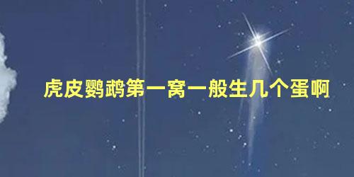 虎皮鹦鹉第一窝一般生几个蛋啊