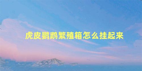 虎皮鹦鹉繁殖箱怎么挂起来