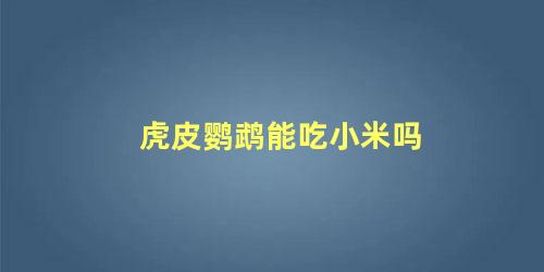 虎皮鹦鹉能吃小米吗