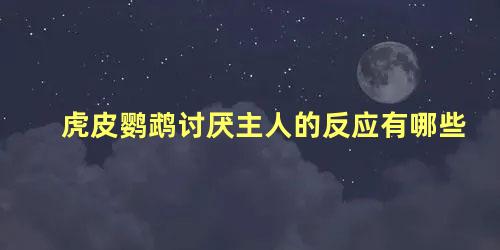 虎皮鹦鹉讨厌主人的反应有哪些
