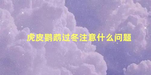 虎皮鹦鹉过冬注意什么问题