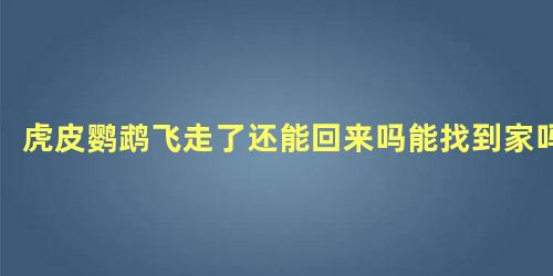 虎皮鹦鹉飞走了还能回来吗能找到家吗