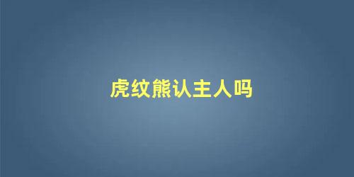 虎纹熊认主人吗