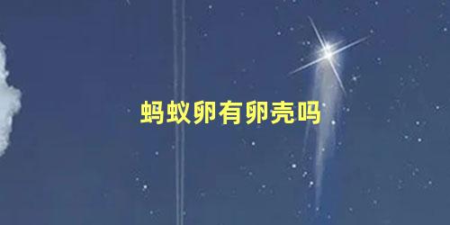 蚂蚁卵有卵壳吗