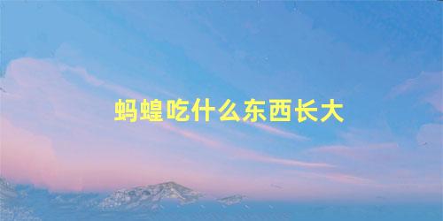 蚂蝗吃什么东西长大
