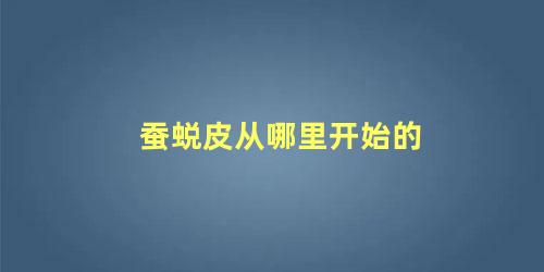 蚕蜕皮从哪里开始的
