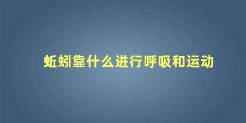 蚯蚓靠什么进行呼吸和运动