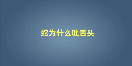 蛇为什么吐舌头