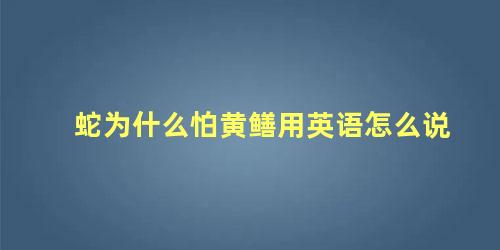 蛇为什么怕黄鳝用英语怎么说