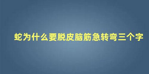 蛇为什么要脱皮脑筋急转弯三个字