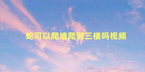 蛇可以爬墙爬到三楼吗视频