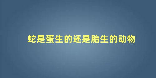 蛇是蛋生的还是胎生的动物