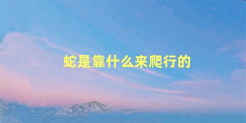 蛇是靠什么来爬行的