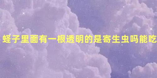 蛏子里面有一根透明的是寄生虫吗能吃吗