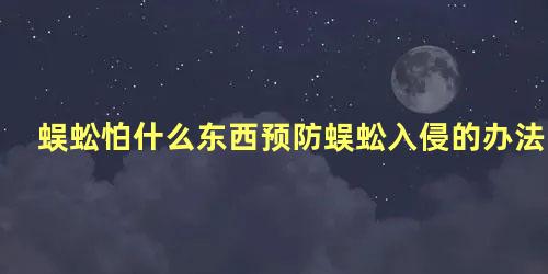 蜈蚣怕什么东西预防蜈蚣入侵的办法