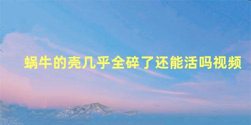 蜗牛的壳几乎全碎了还能活吗视频