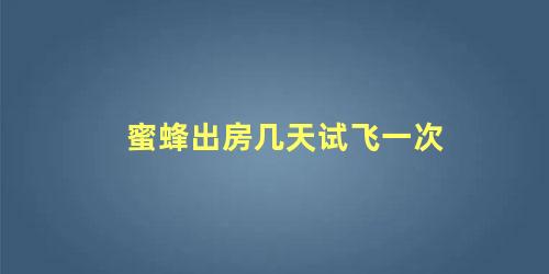 蜜蜂出房几天试飞一次
