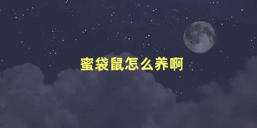 蜜袋鼠怎么养啊